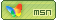 P_MSN